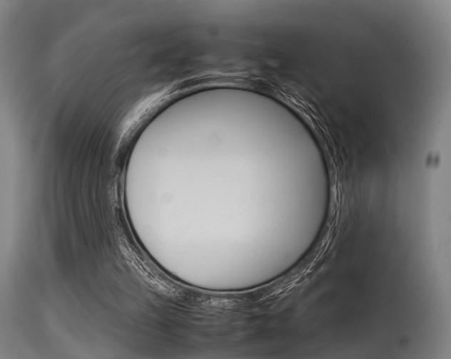 X0000115620149200911101104