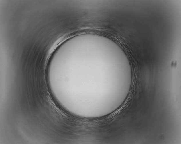 X0000115620150200911101104