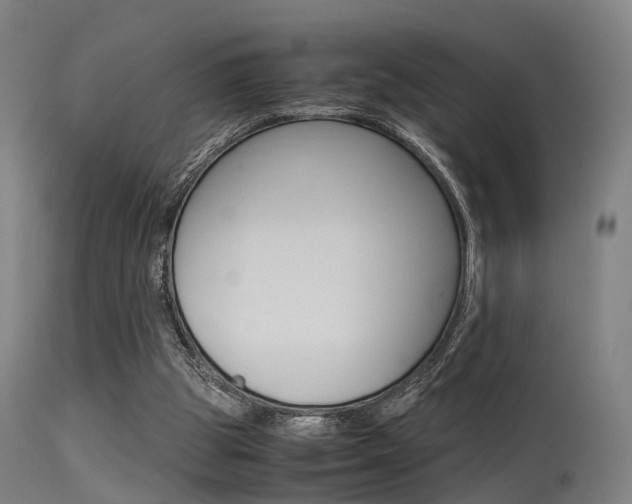 X0000115620153200911101104