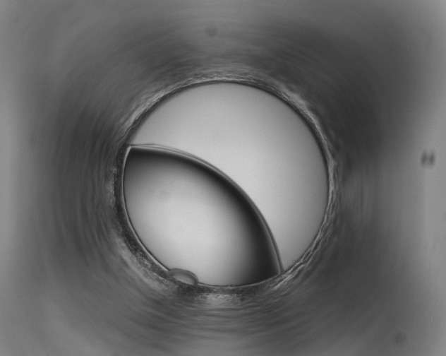 X0000115620154200911101104