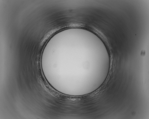 X0000115620155200911101104