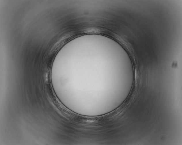 X0000115620157200911101104