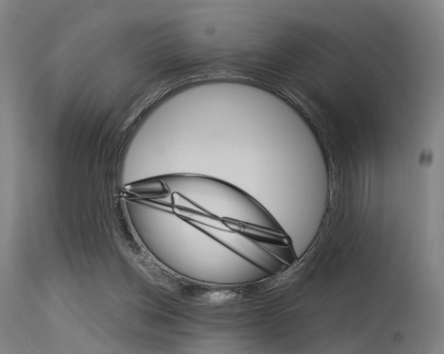 X0000115620158200911101104