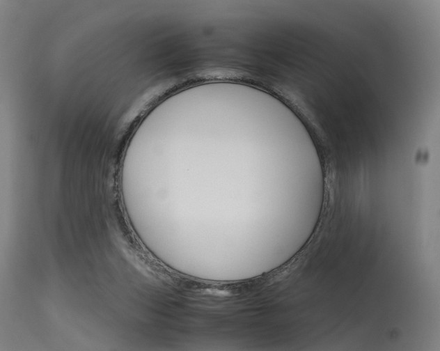 X0000115620159200911101104