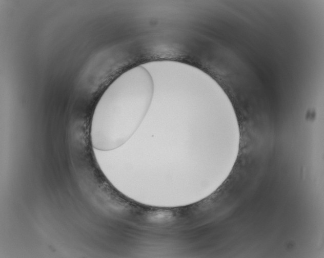 X0000115620162200911101104