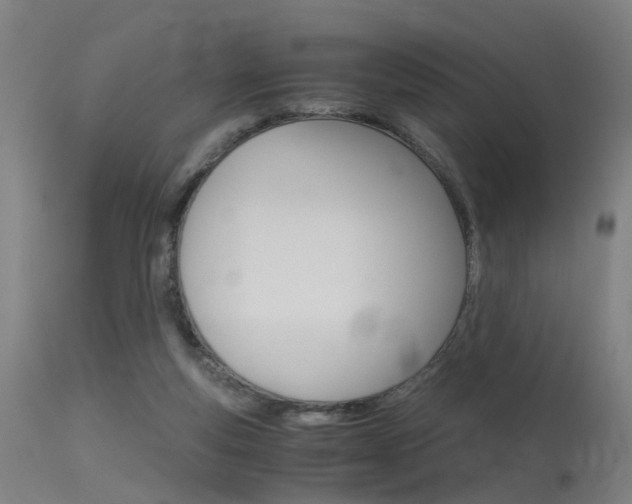 X0000115620163200911101104