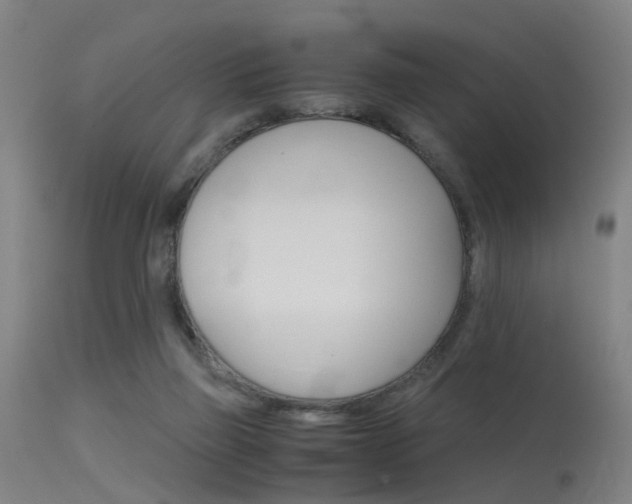 X0000115620165200911101104