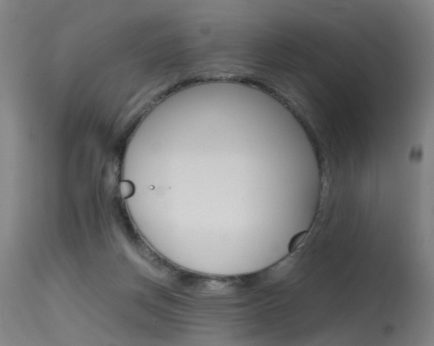 X0000115620166200911101104