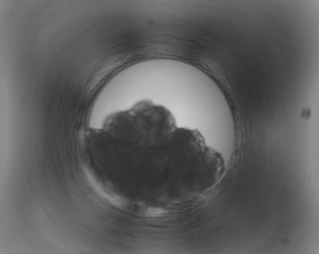 X0000115620167200911101104