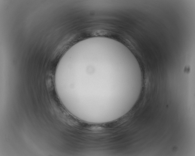 X0000115620169200911101104