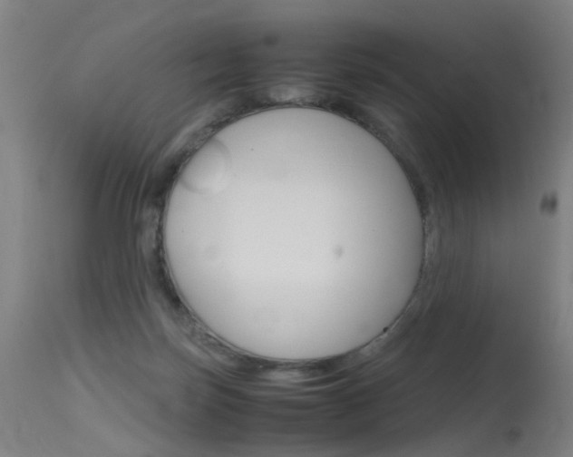 X0000115620171200911101104