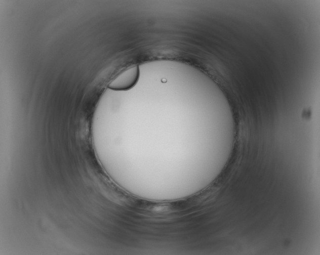 X0000115620173200911101104