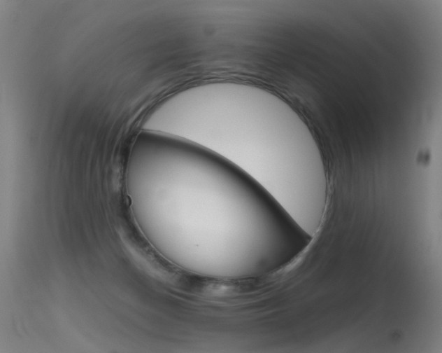 X0000115620174200911101104