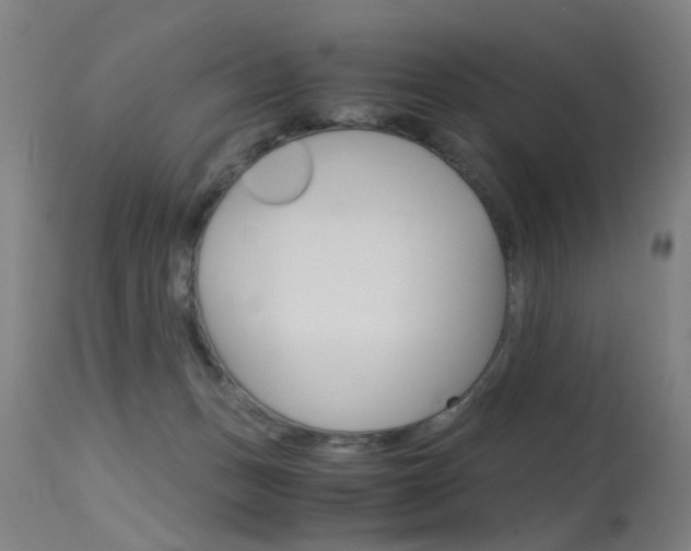 X0000115620175200911101104