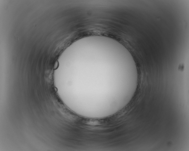 X0000115620177200911101104