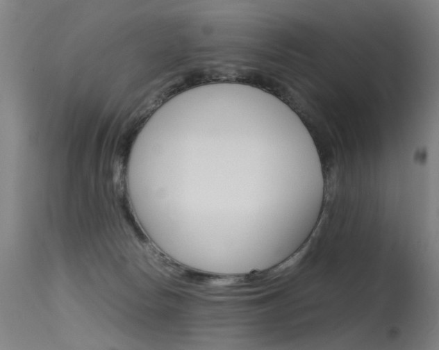 X0000115620178200911101104