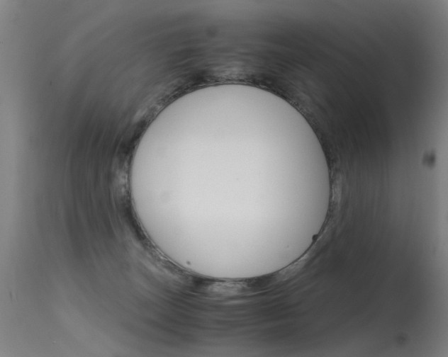 X0000115620179200911101104