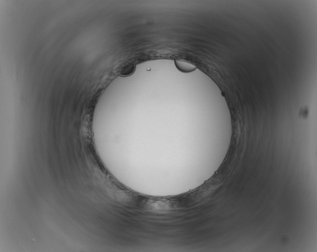 X0000115620181200911101104