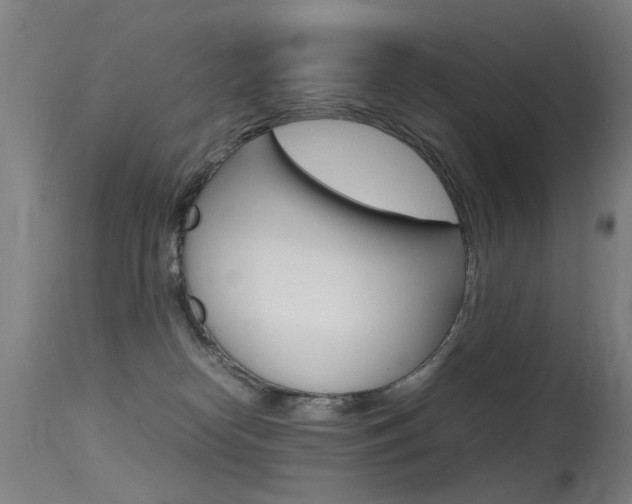 X0000115620182200911101104