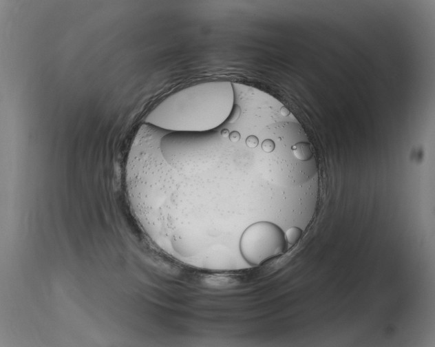 X0000115620183200911101104