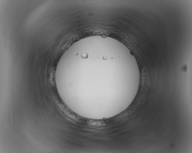 X0000115620185200911101104