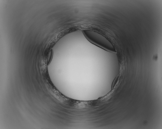 X0000115620186200911101104