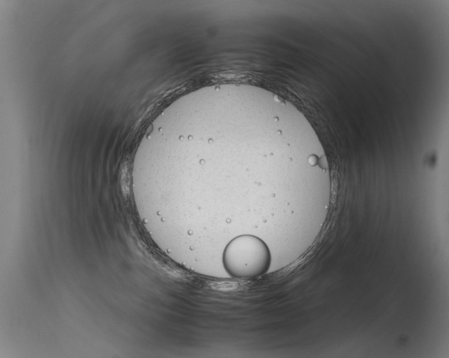 X0000115620187200911101104