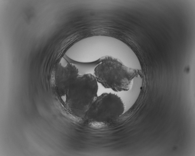 X0000115620189200911101104