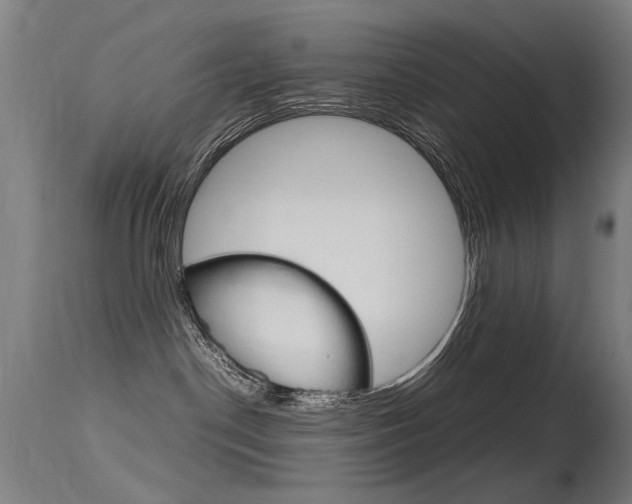 X0000115620190200911101104