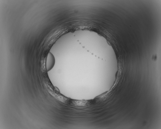 X0000115620191200911101104