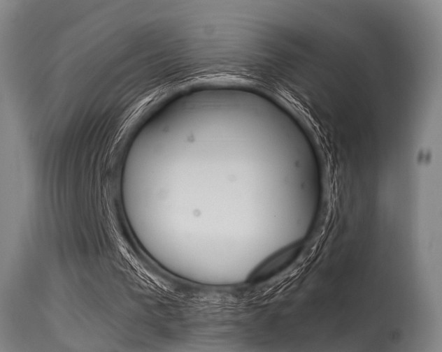 X0000115620193200911101104