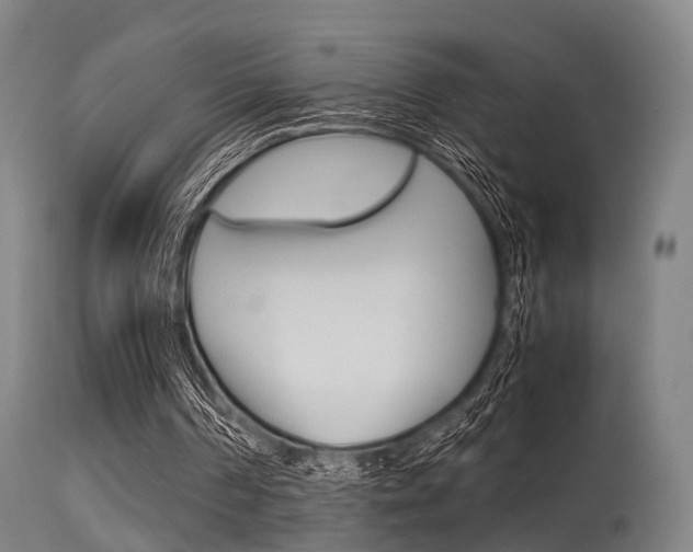 X0000115620194200911101104