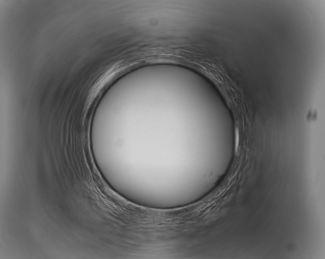 X0000115620195200911101104