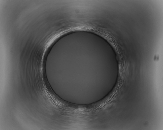 X0000115620196200911101104