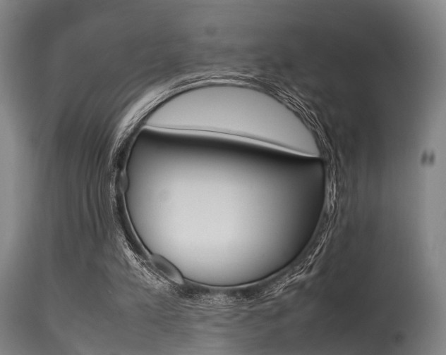 X0000115620197200911101104