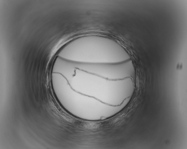 X0000115620198200911101104