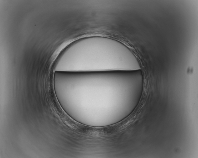 X0000115620200200911101104