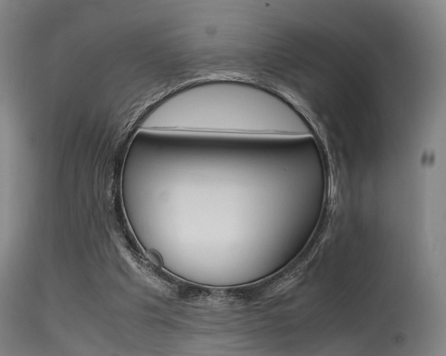 X0000115620201200911101103