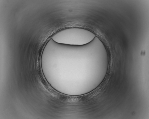 X0000115620202200911101103