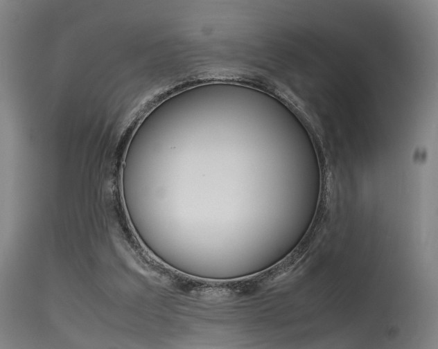 X0000115620203200911101103