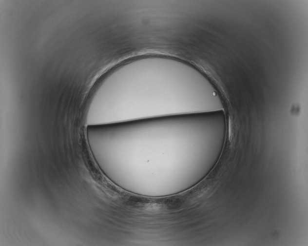 X0000115620204200911101103