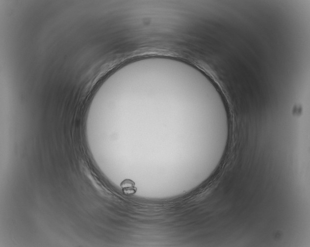 X0000115620205200911101103