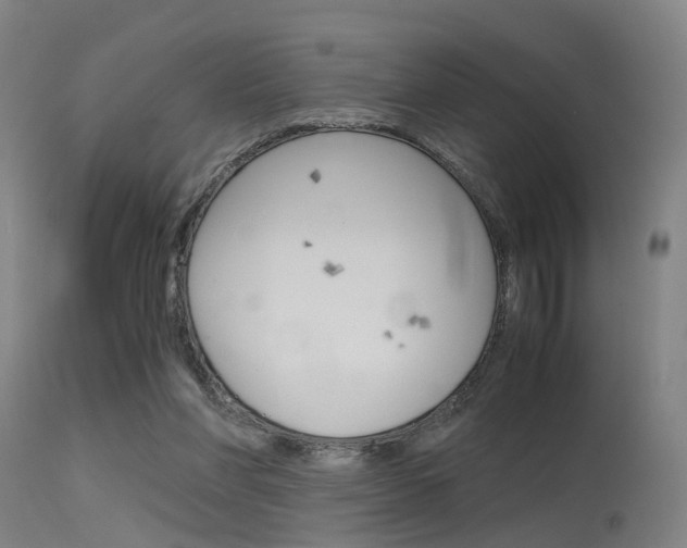 X0000115620206200911101103