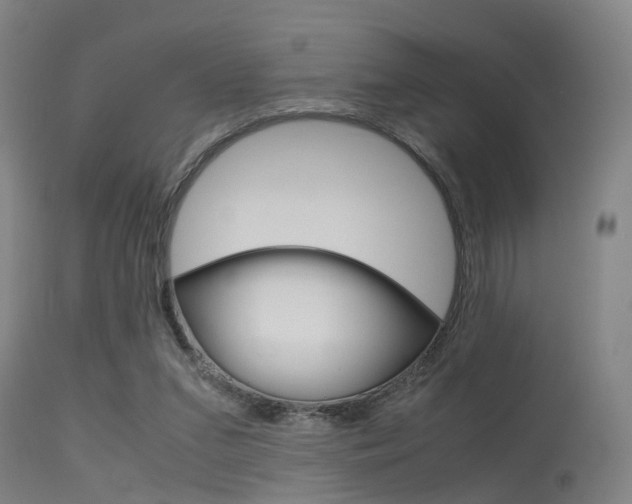 X0000115620207200911101103