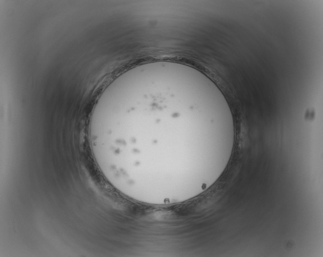 X0000115620210200911101103