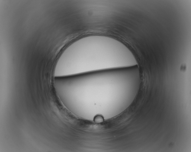 X0000115620212200911101103