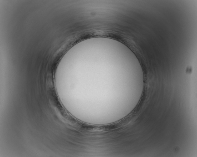 X0000115620213200911101103