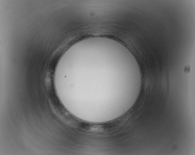 X0000115620214200911101103