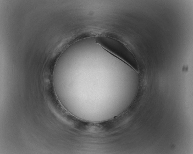 X0000115620215200911101103