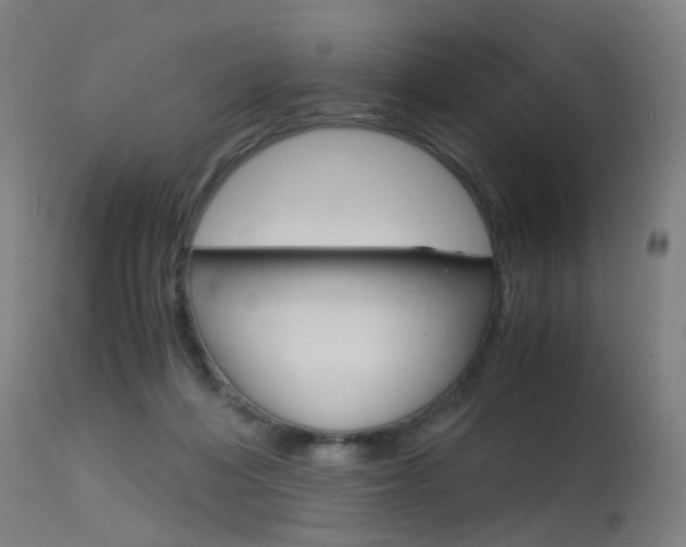 X0000115620216200911101103